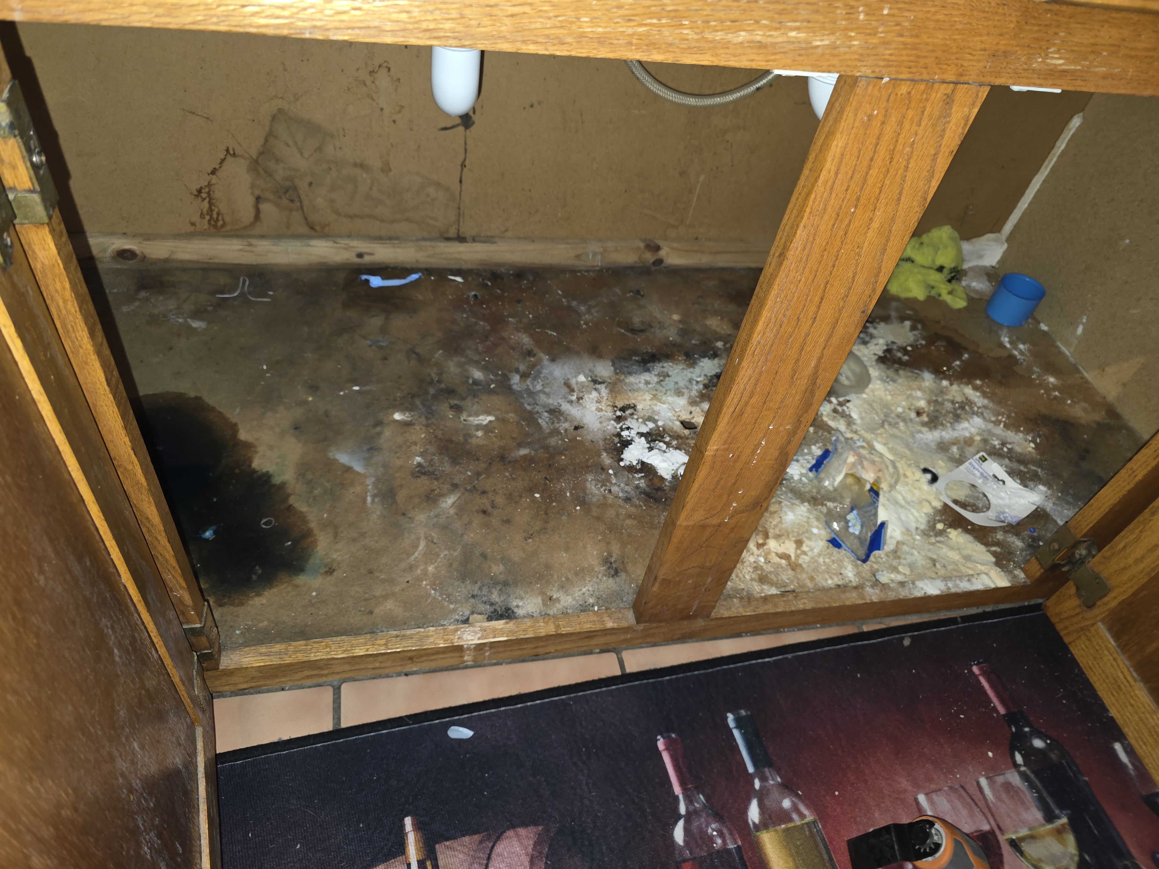 Under-sink cabinet with severe water damage and mold
